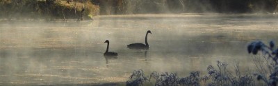Northern NSW, Australia